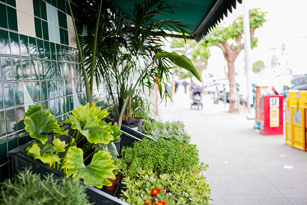 street scene with flowers